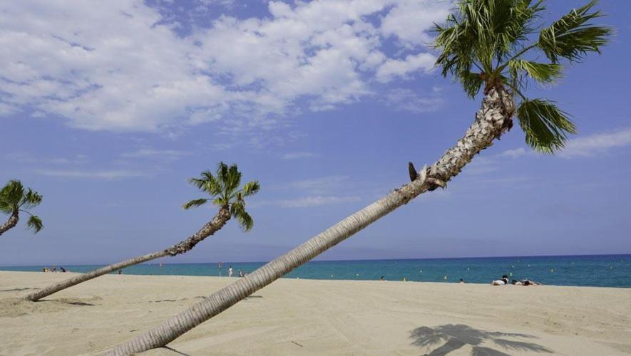 Vila Maison Plein Pied Proximite Plage Et Commerce - 5Sir33 Le Barcarès Exteriér fotografie