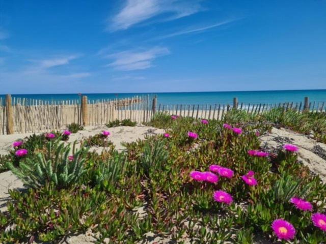 Vila Maison Plein Pied Proximite Plage Et Commerce - 5Sir33 Le Barcarès Exteriér fotografie